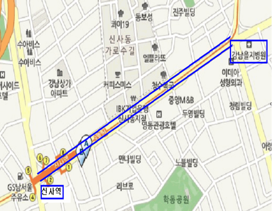 도산대로 (신사역사거리 ~ 을지병원사거리)